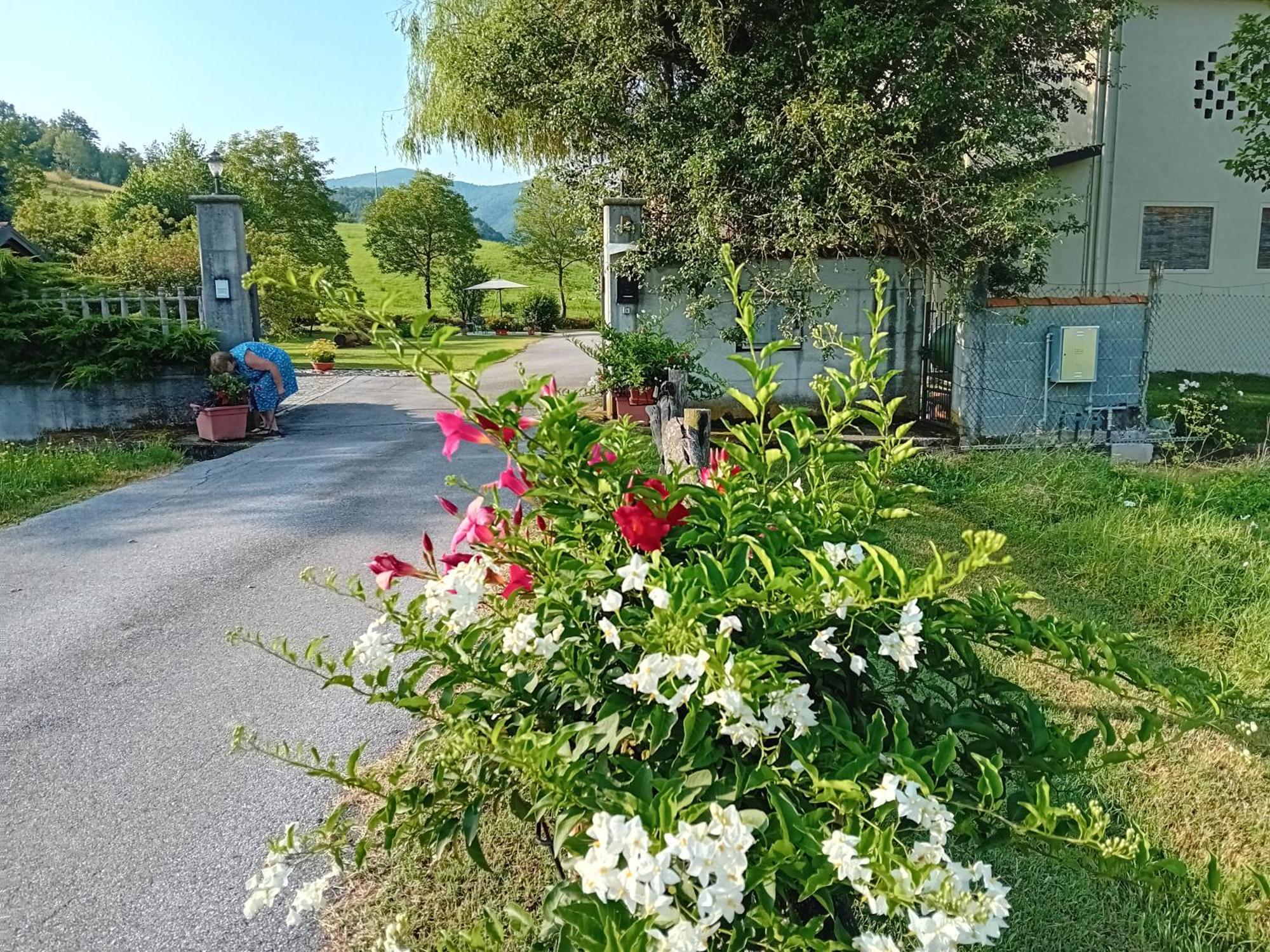 Bed and Breakfast L'Isola Dla Cerrea Mombasiglio Экстерьер фото